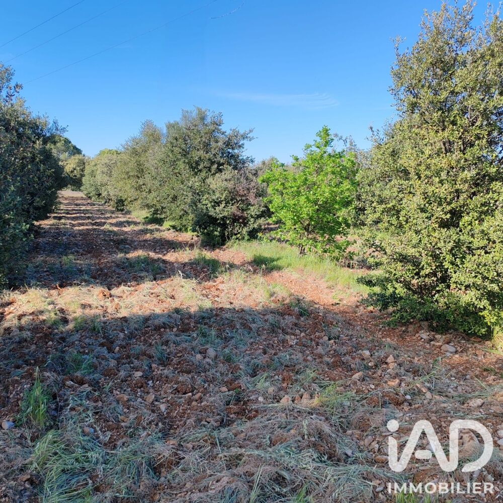 Vente Terrain Vente Truffière 4 300 m&sup2; Sérignan-du-comtat