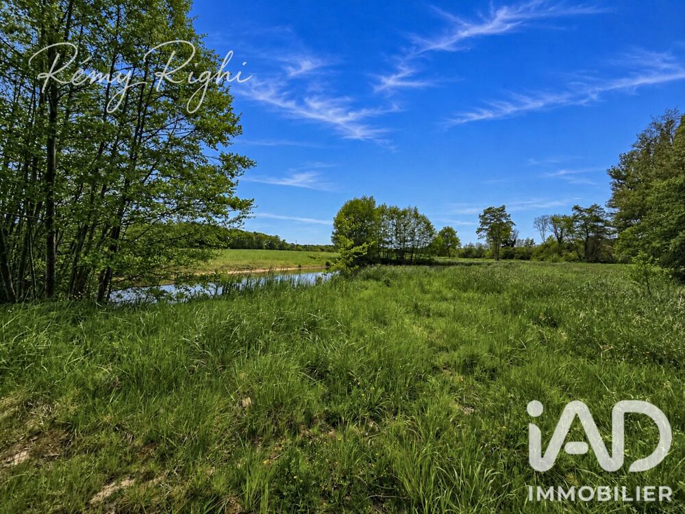 Vente Terrain Vente Terrain 10 468 m&sup2; Chailly-en-gâtinais