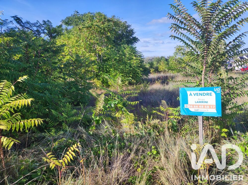 Vente Terrain Vente Terrain 12 532 m&sup2; Chinon