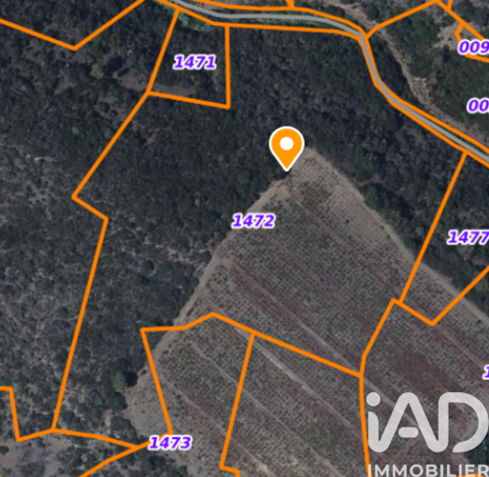 Vente Terrain Vente Terrain agricole 16 000 m&sup2; Saint paul de fenouillet