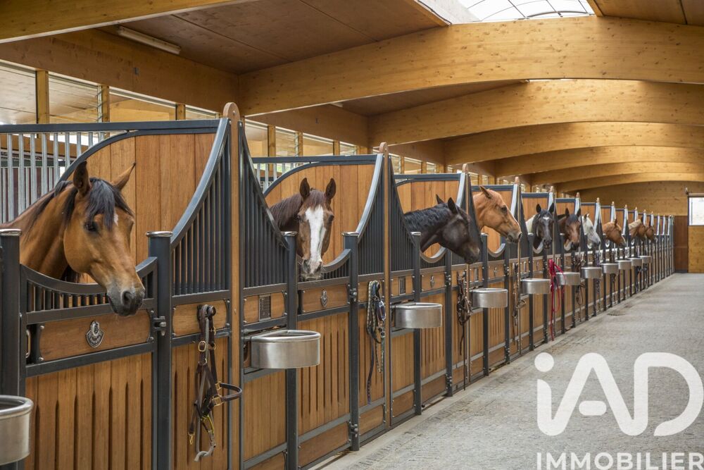 à vendre  Maison Lemberg (57620)