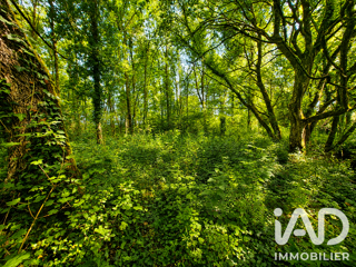  Terrain à vendre 16540 m²