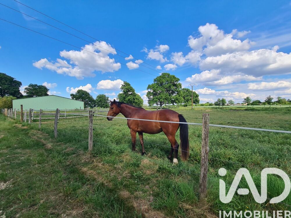 Vente Maison Vente Domaine 8 pièces Plassay