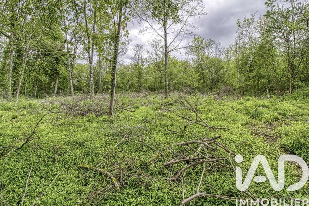 Vente Terrain Vente Terrain à bâtir 2 024 m&sup2; Estouy