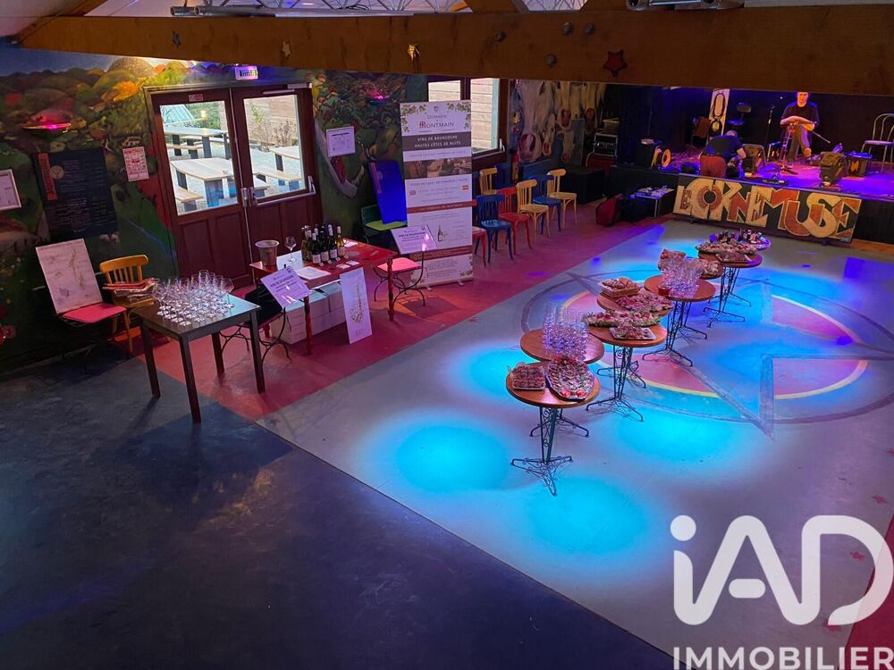 vente Immeuble - 497 m² Arleuf (58430)