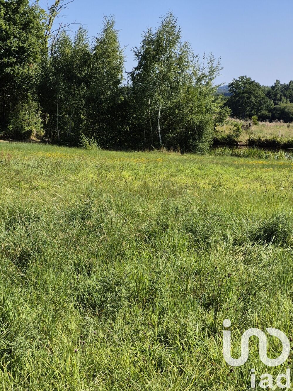 Vente Terrain Vente Terrain 5 316 m&sup2; Ferrieres en bray