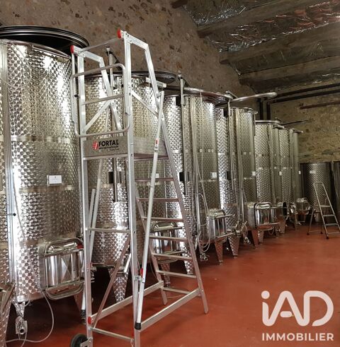 Vente Agriculture, Viticulture 197000 34480 Laurens