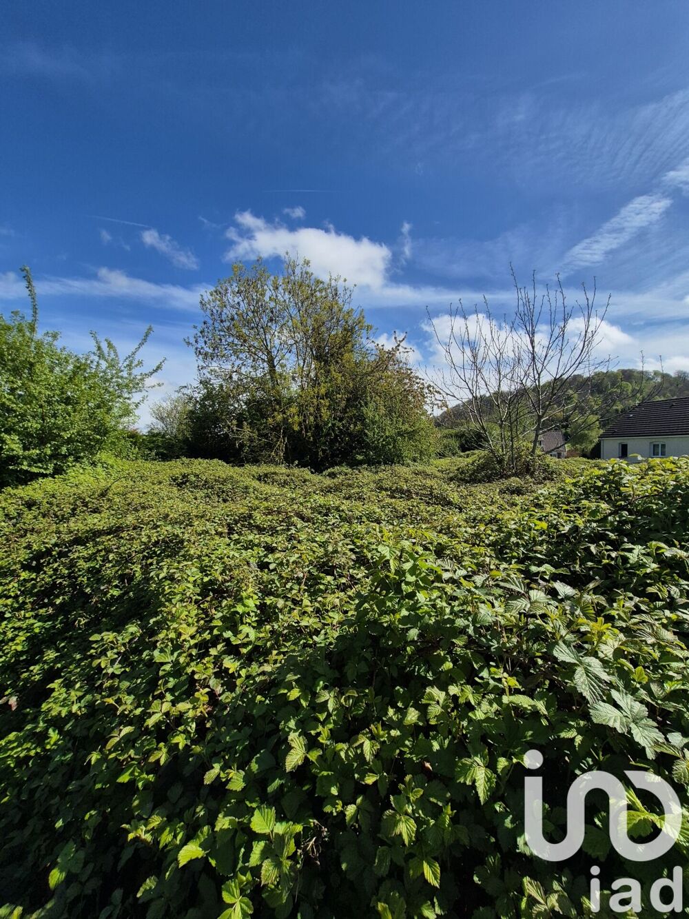 Vente Terrain Vente Terrain à bâtir 1 523 m&sup2; Rieux