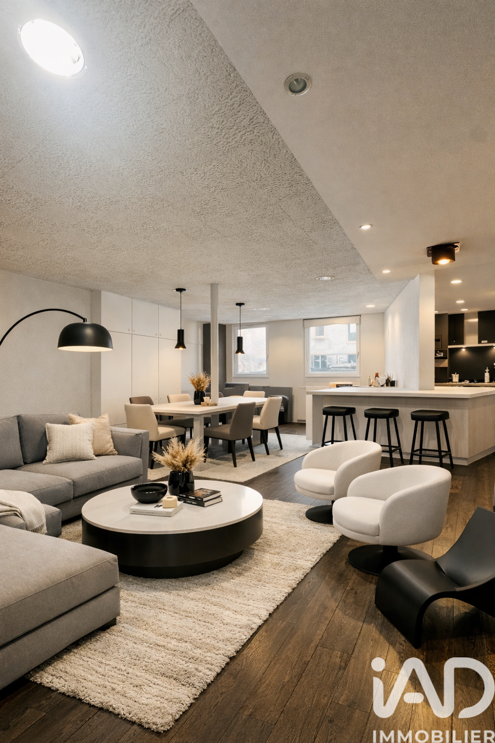Vente Loft 5 pièces