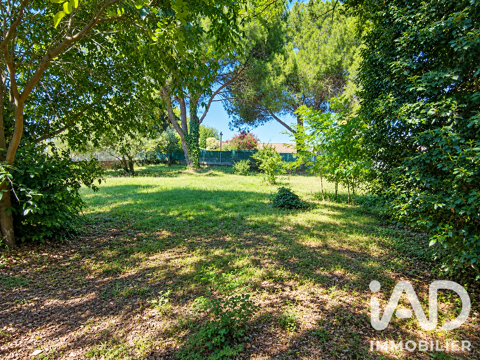 Image Annonce
