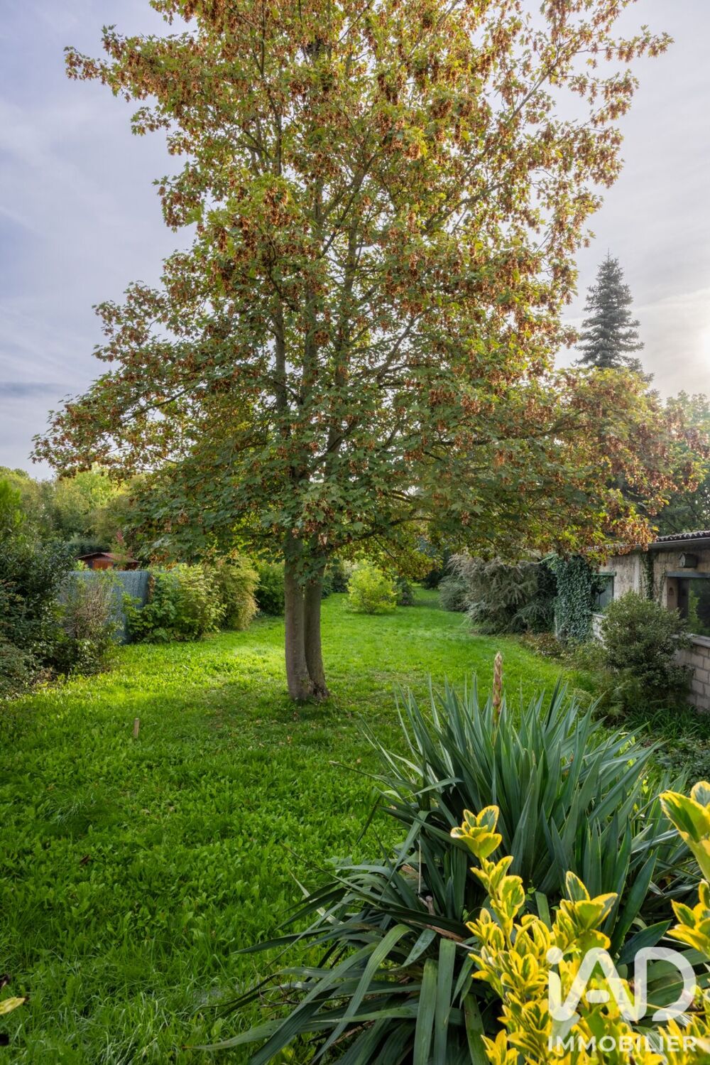 Vente Maison Vente Maison d'architecte 8 pièces Douai