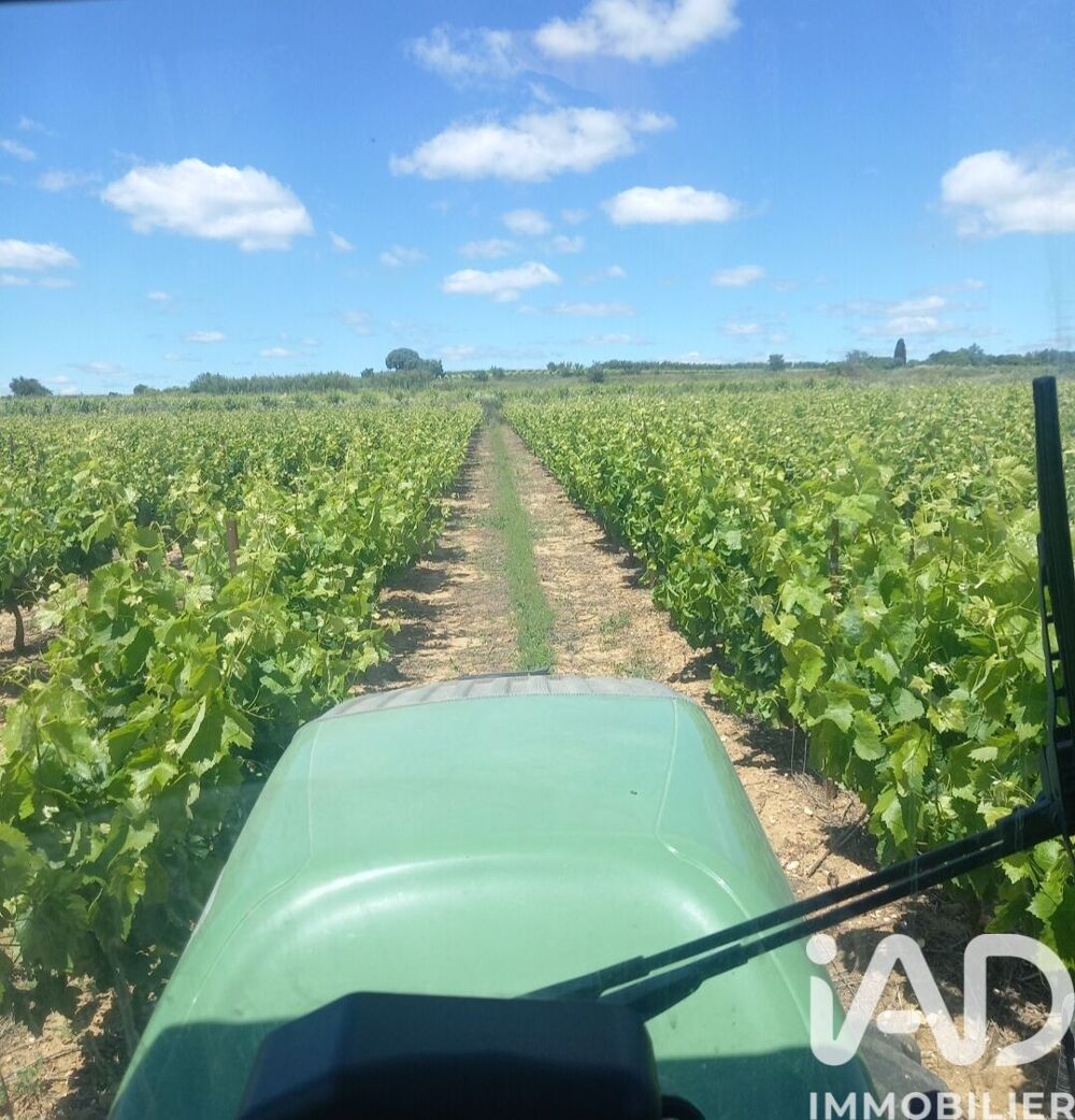Vente Terrain Vente Terrain agricole 238 795 m&sup2; Usclas-d'hérault