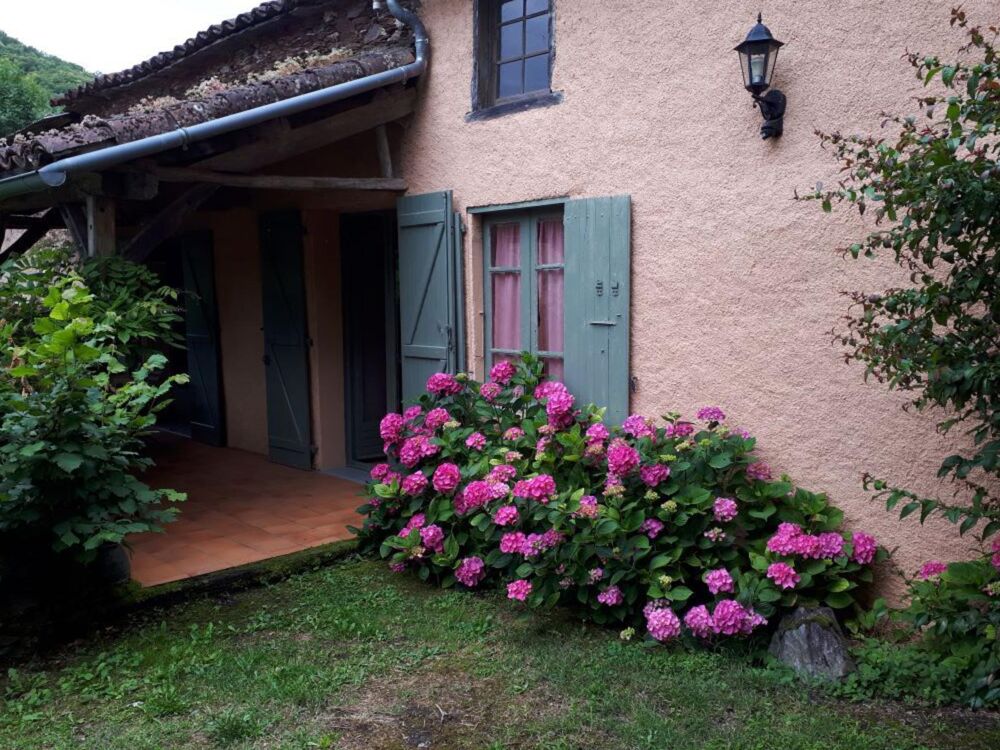 � vendre  Maison Albi (81000)