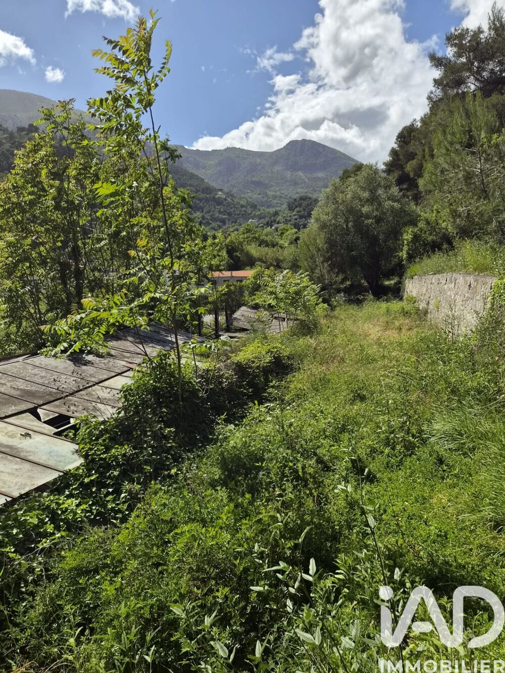 Vente Terrain Vente Terrain 13 374 m&sup2; Gorbio