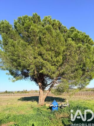 Terrain � vendre 238795 m�