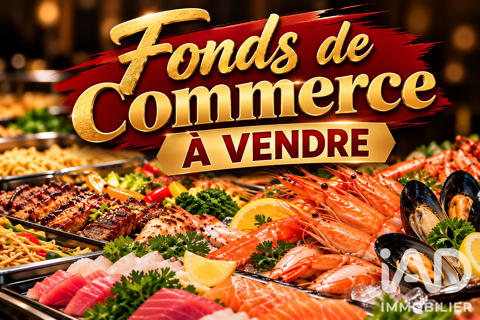 Vente Restaurant 1 100 m&sup2; 560000 31830 Plaisance-du-touch