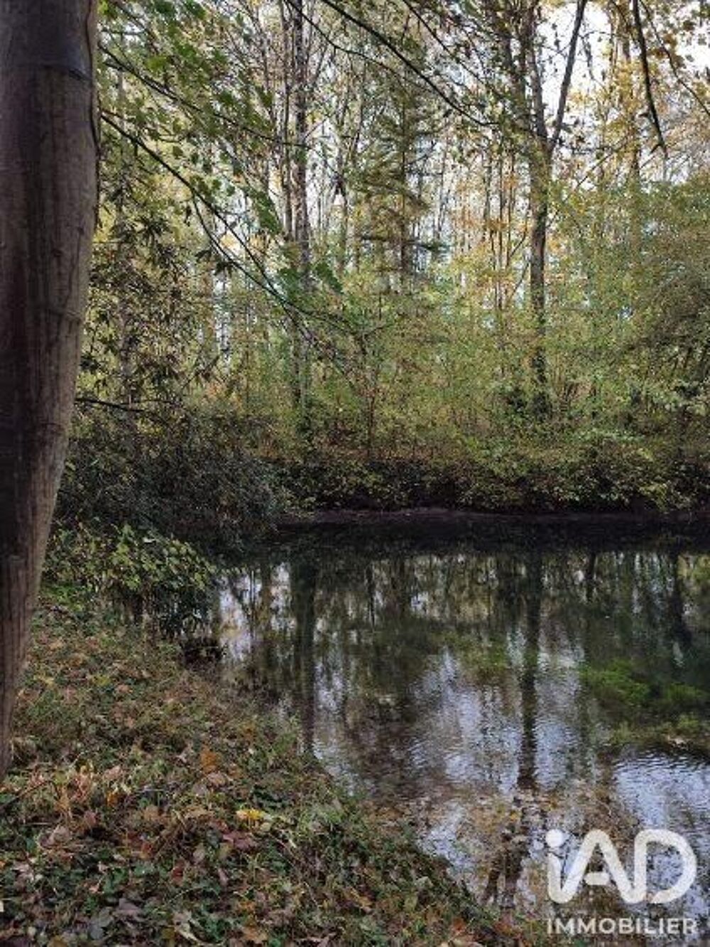 Vente Terrain Vente Terrain 4 900 m&sup2; Boult sur suippe