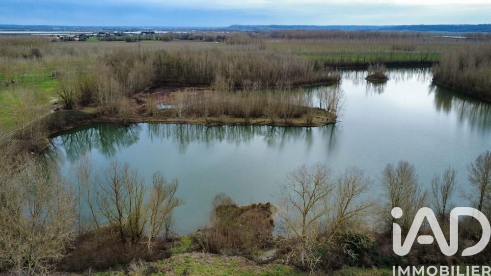 Vente Terrain Vente Terrain 125 000 m&sup2; Castelferrus