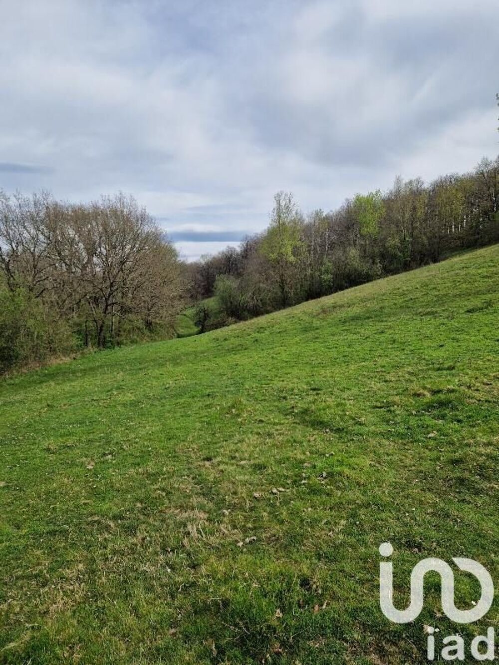 Vente Terrain Vente Terrain agricole 86 000 m&sup2; Lescure-d'albigeois