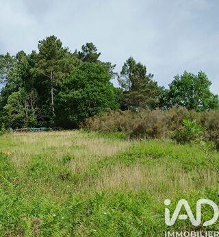  Terrain à vendre 7136 m²