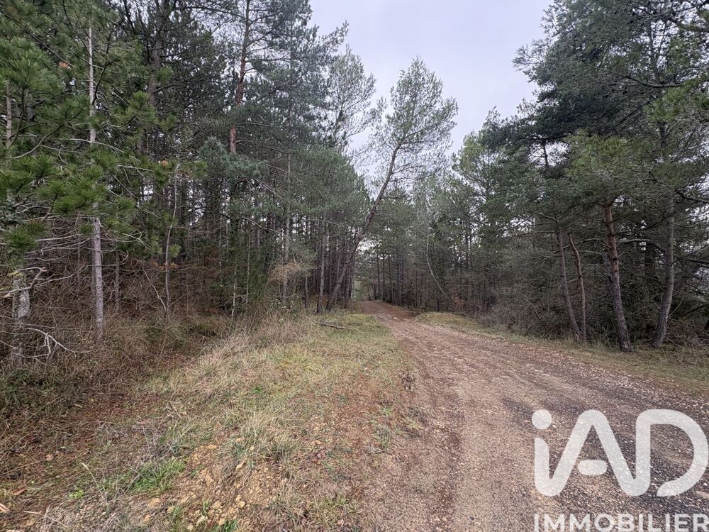 Vente Terrain 240000 m² - Vue 5