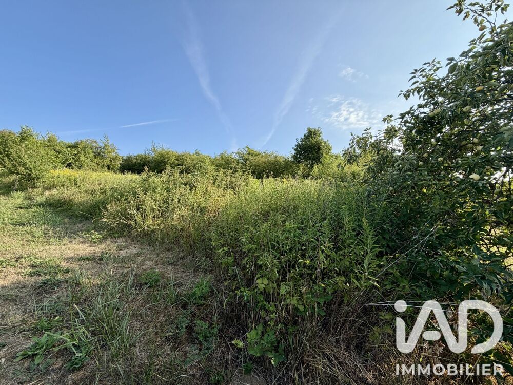 Vente Terrain Vente Terrain 1 707 m&sup2; Illfurth
