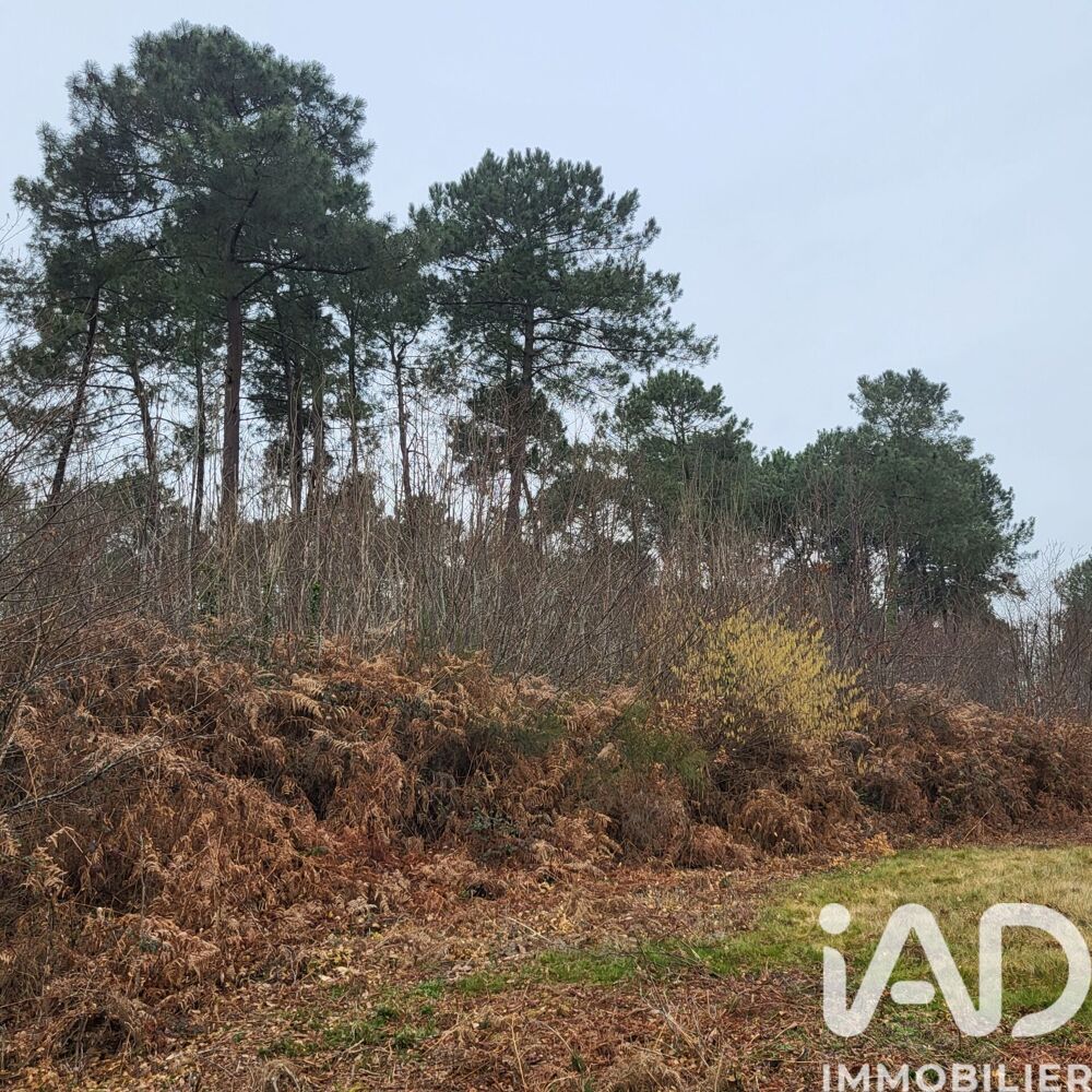Vente Terrain Vente Surface diverse 44 000 m&sup2; Bazas