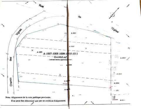 Image Annonce