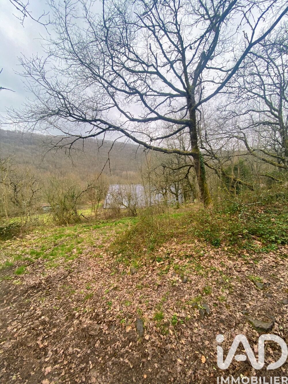 Vente Terrain Vente Terrain agricole 116 077 m&sup2; Martrin
