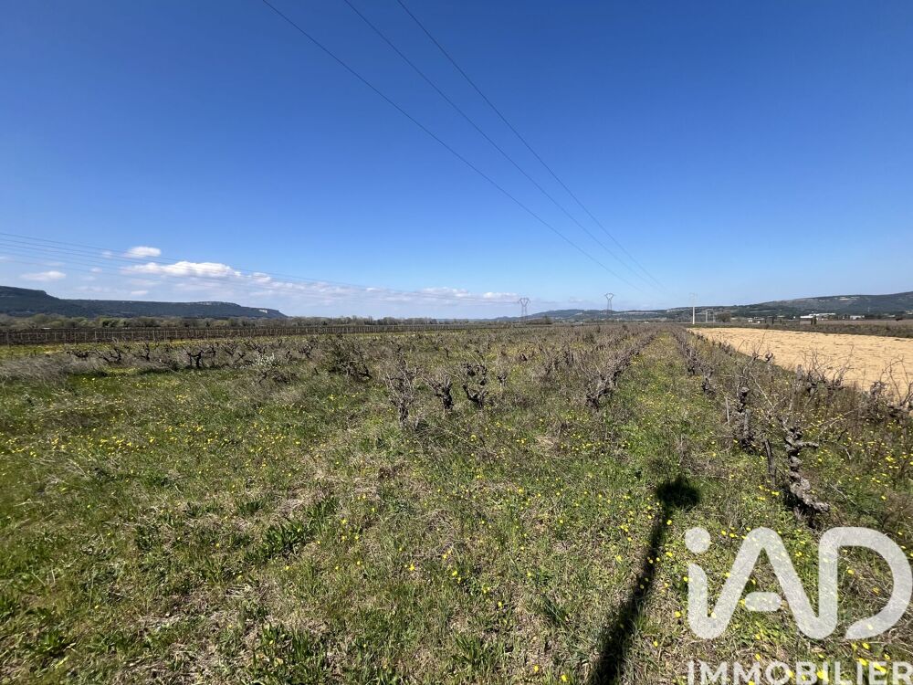 Vente Terrain Vente Terrain agricole 8 225 m&sup2; Codolet