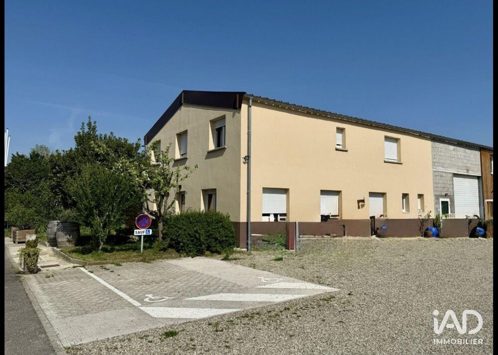  Location - 52 m² Bergheim (68750)