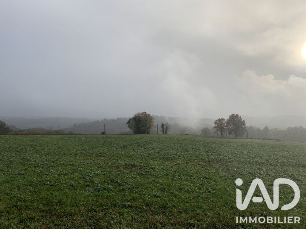 Vente Terrain Vente Terrain agricole 69 373 m&sup2; Neuvic-entier
