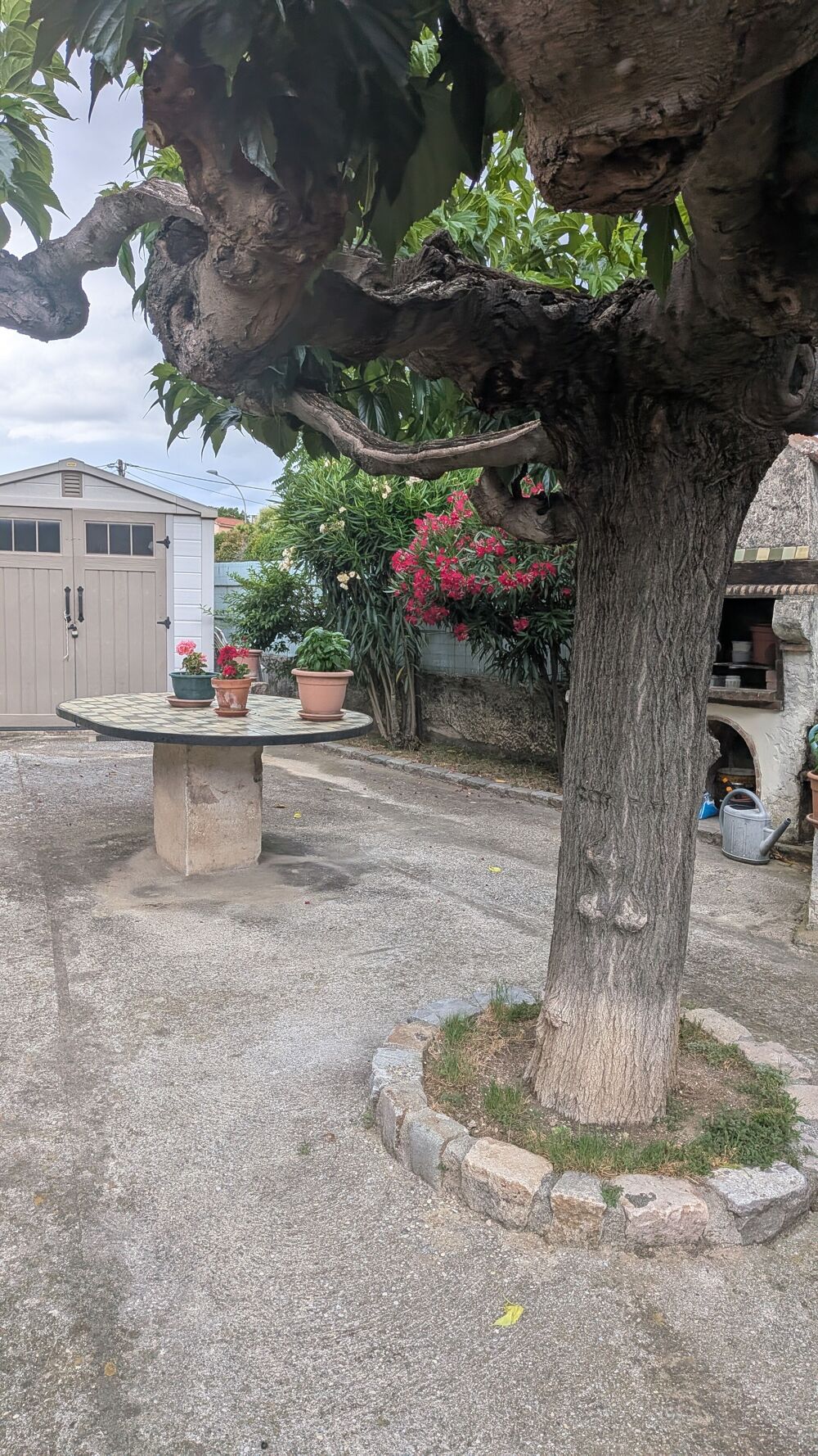 Maison vendue avec locataire en place