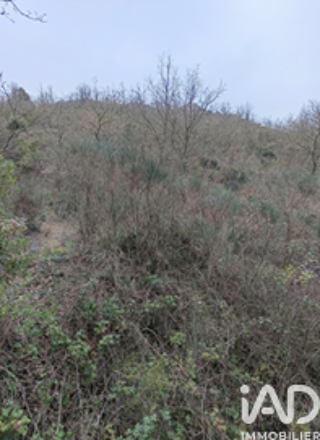  Terrain à vendre 65360 m²