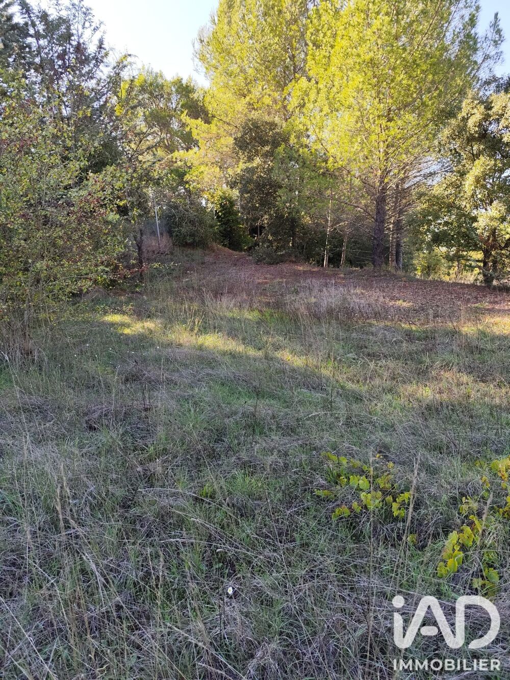 Vente Terrain Vente Terrain à bâtir 1 369 m&sup2; Crespian