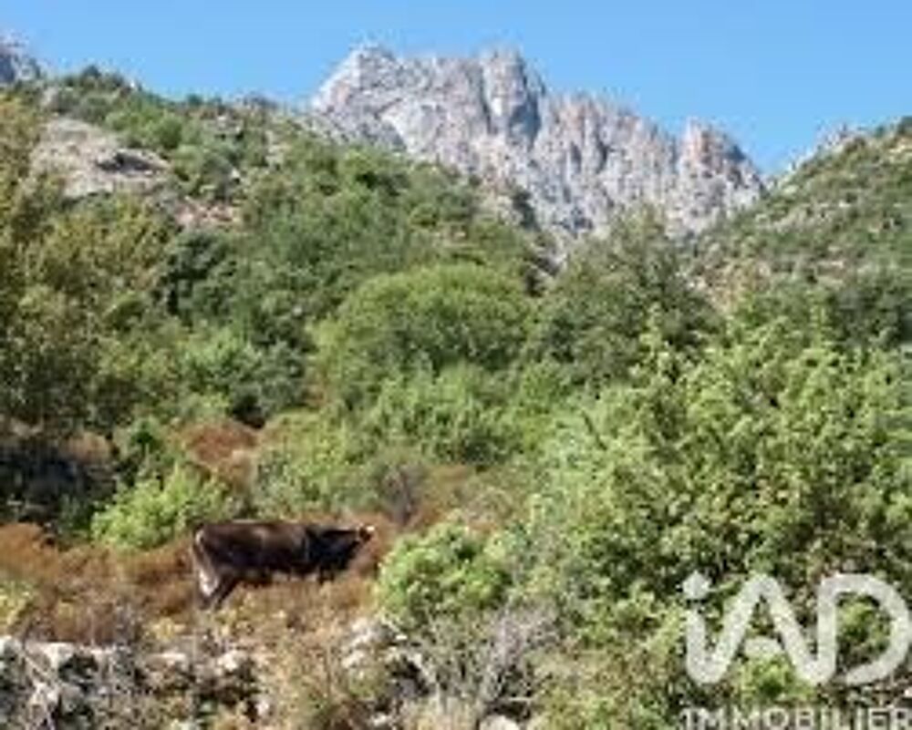 vente Terrain - 47407 m² Popolasca (20218)