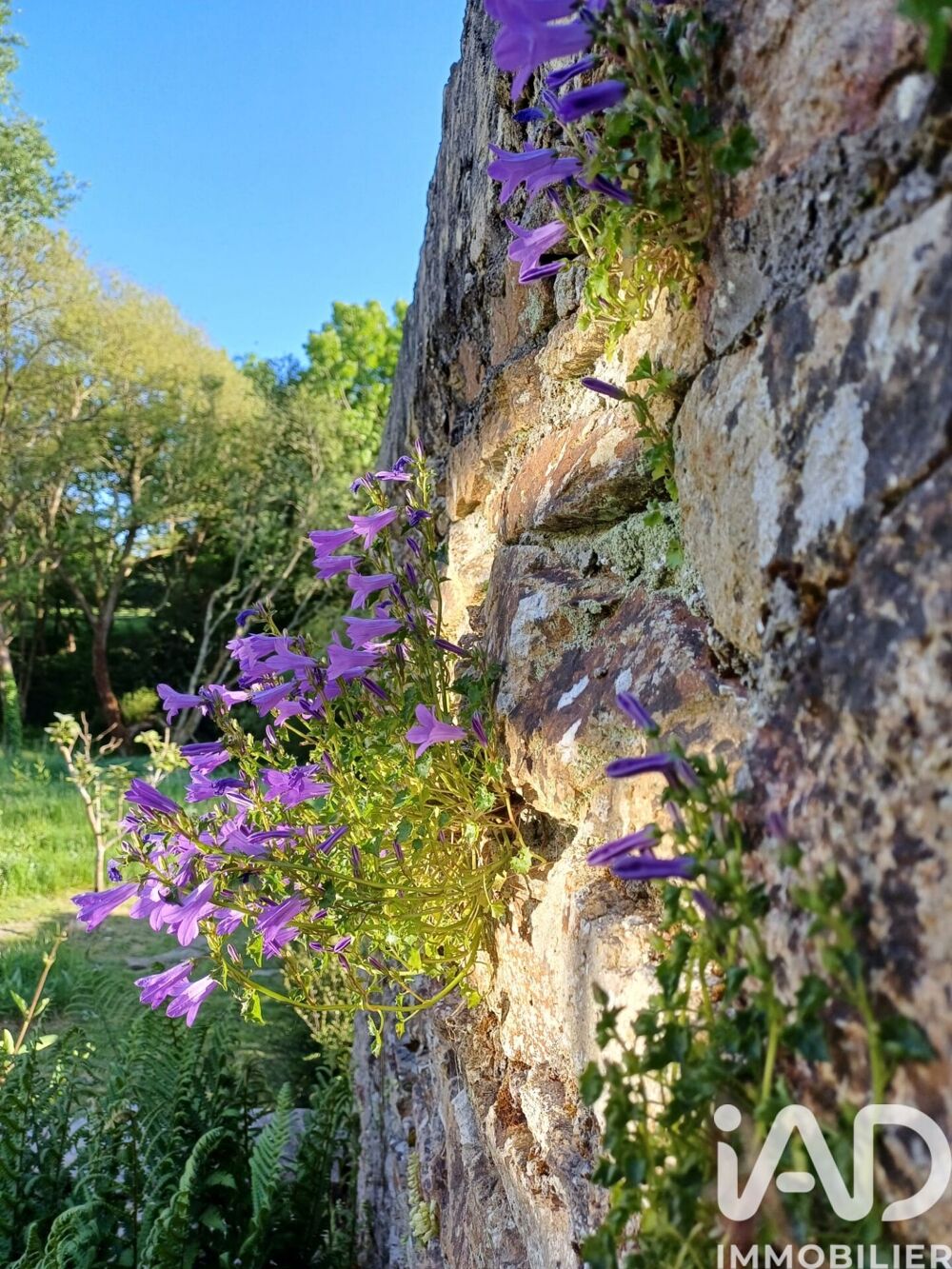 à vendre  Maison Moëlan-sur-Mer (29350)