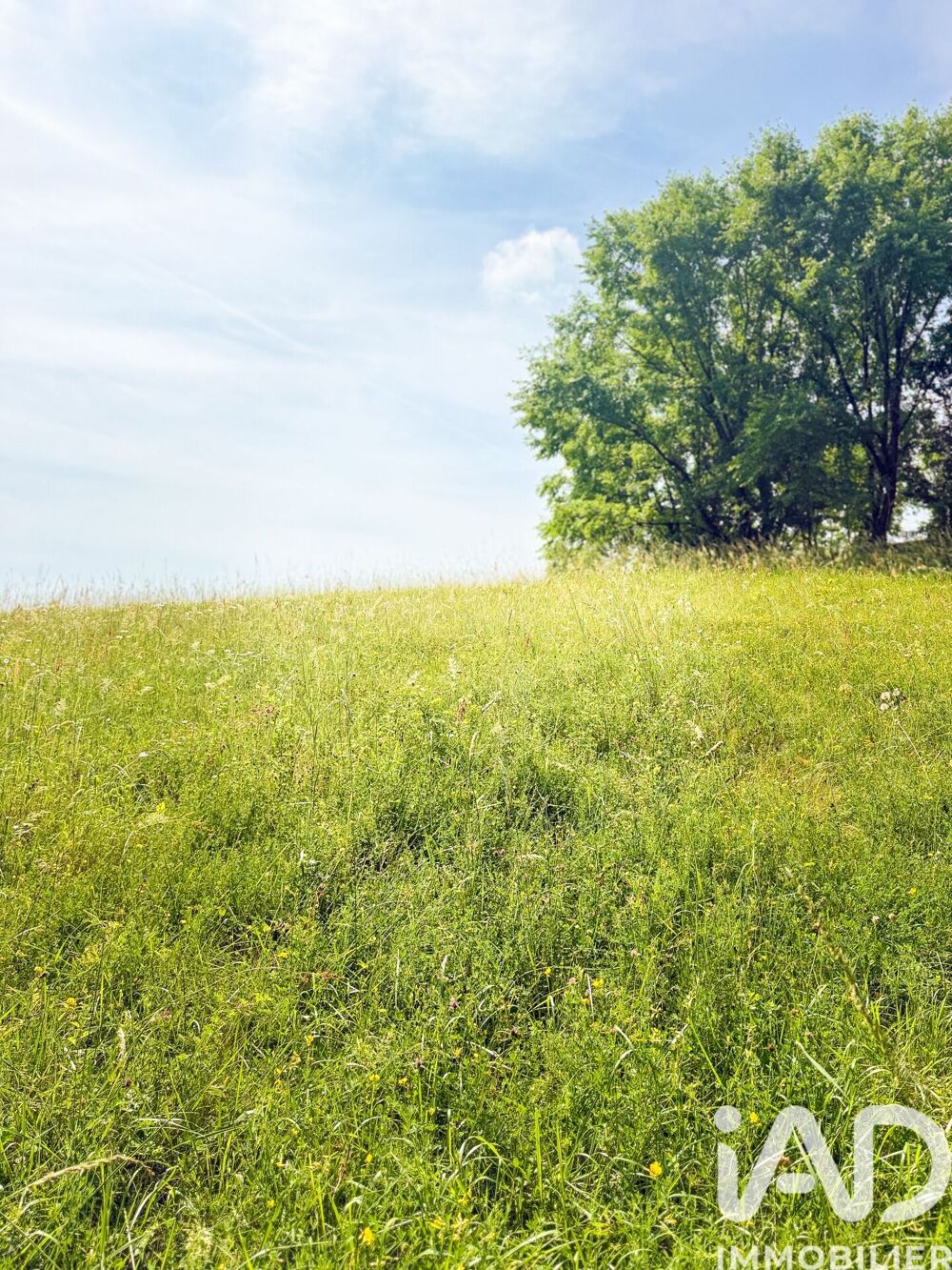 Vente Terrain Vente Terrain 3 770 m&sup2; Conques-en-rouergue