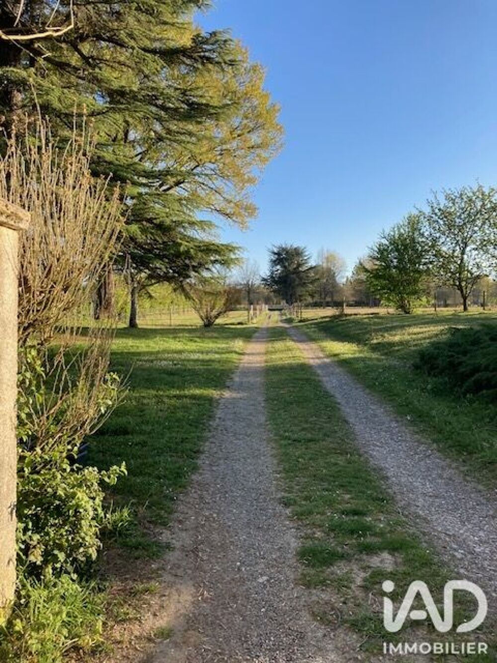 Vente Maison Vente Domaine 7 pièces Campagne-d'armagnac