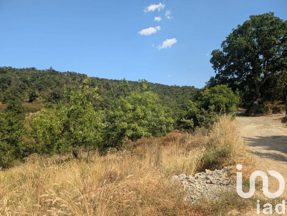 Vente Terrain Vente Terrain 6 500 m&sup2; Maureillas-las-illas