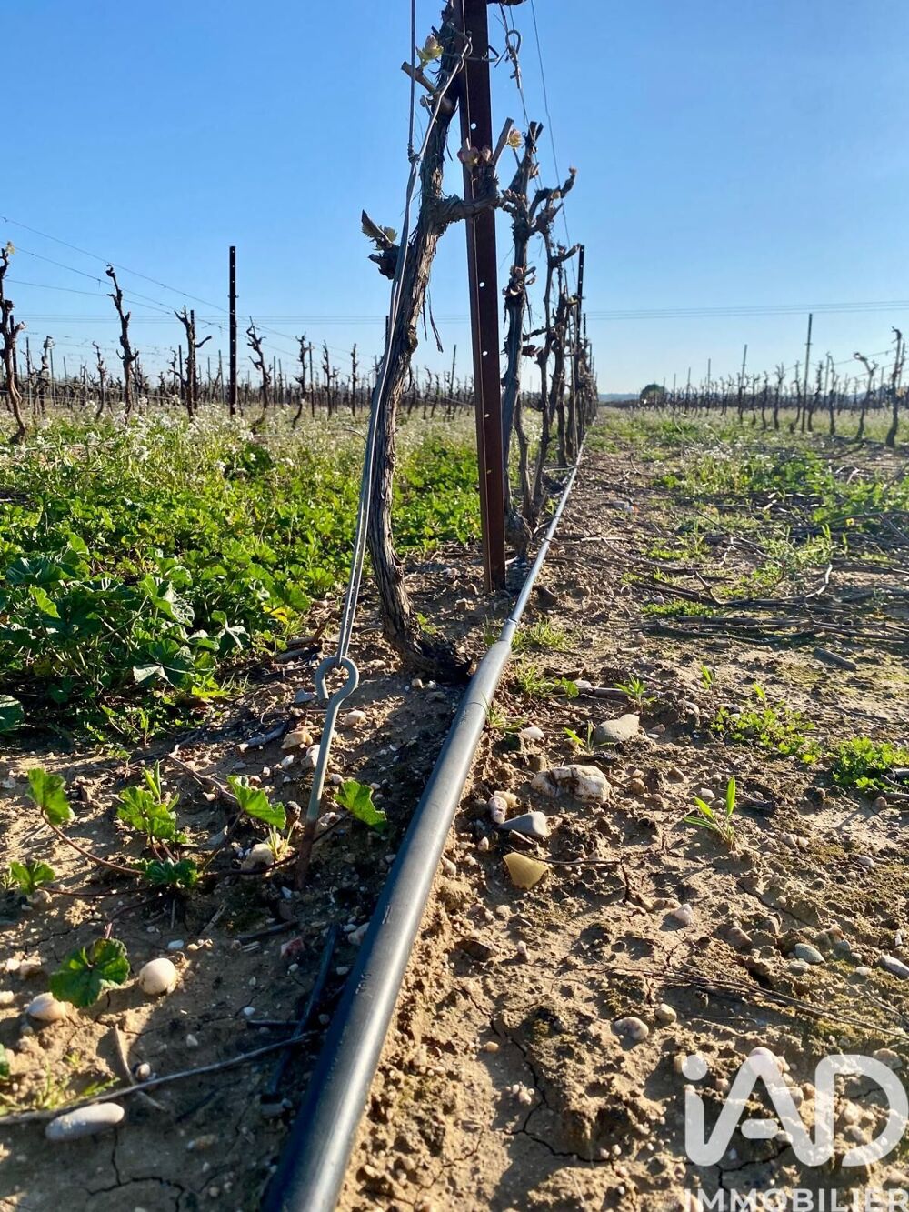 Vente Terrain Vente Terrain agricole 238 795 m&sup2; Usclas-d'hérault