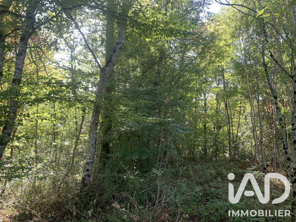 Vente Terrain Vente Terrain 33 331 m&sup2; Baudres