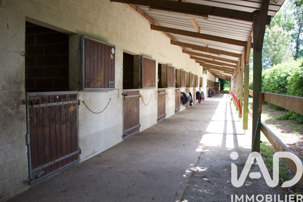 Vente Haras 18 pièces