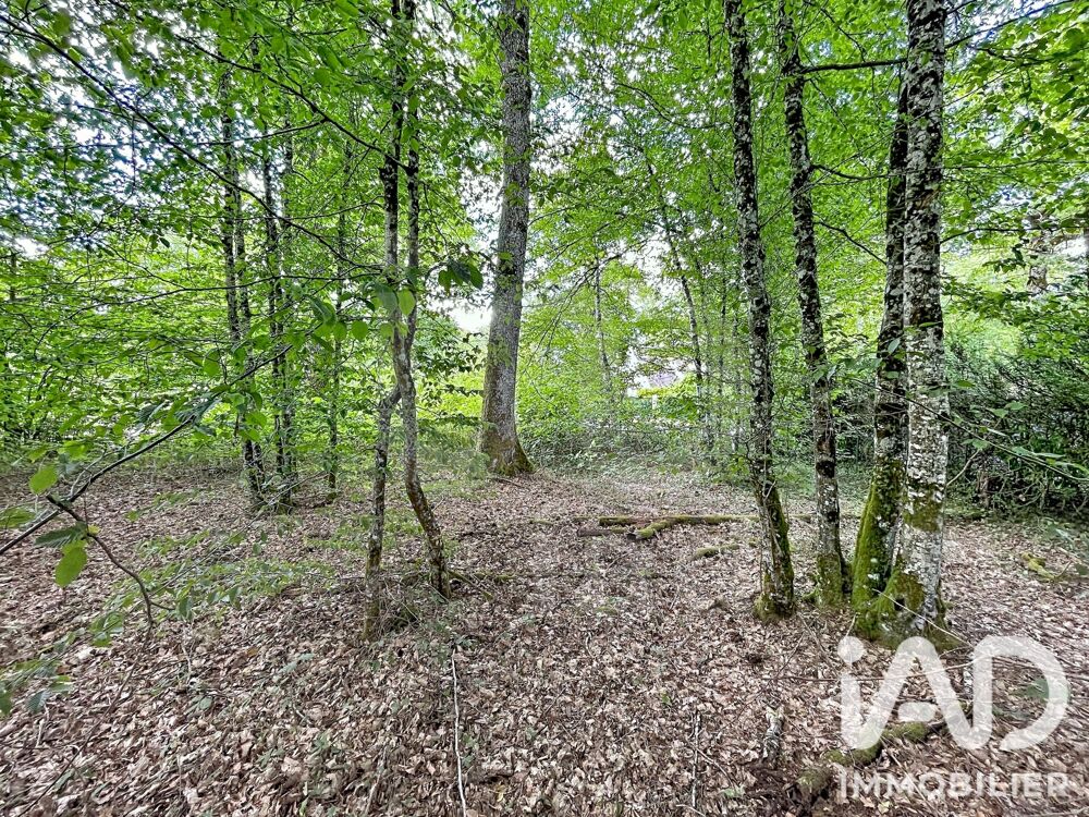Vente Terrain Vente Terrain 893 m&sup2; Courtenay