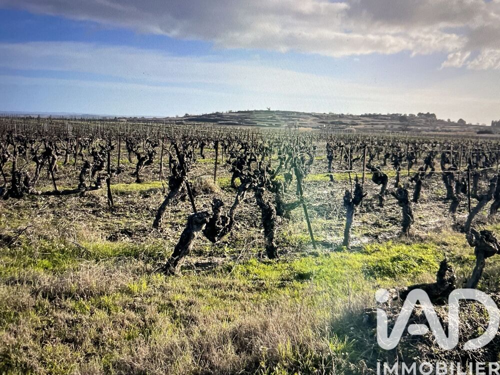 Vente Terrain Vente Terrain 41 995 m&sup2; Tourbes