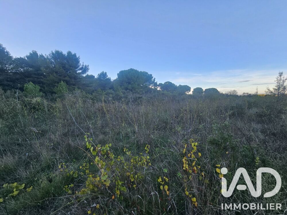 Vente Terrain Vente Terrain 9 920 m&sup2; Générac