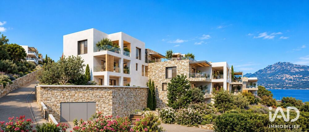 Vente Appartement Vente Appartement 3 pièces Calvi