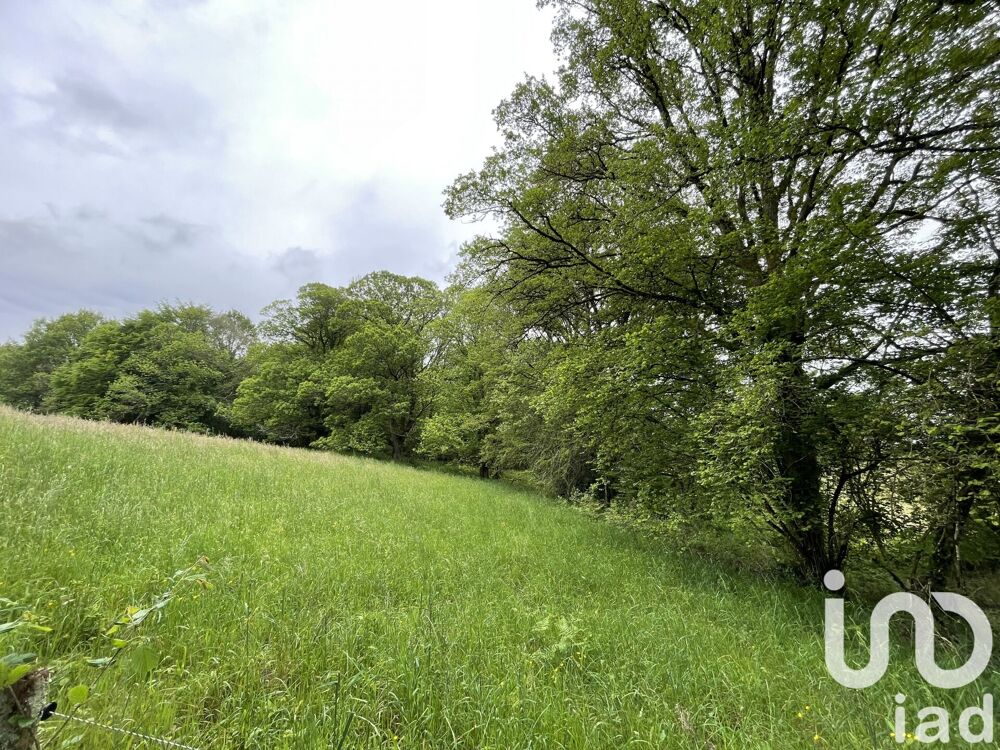 Vente Terrain Vente Terrain agricole 189 090 m&sup2; Soudaine-lavinadière