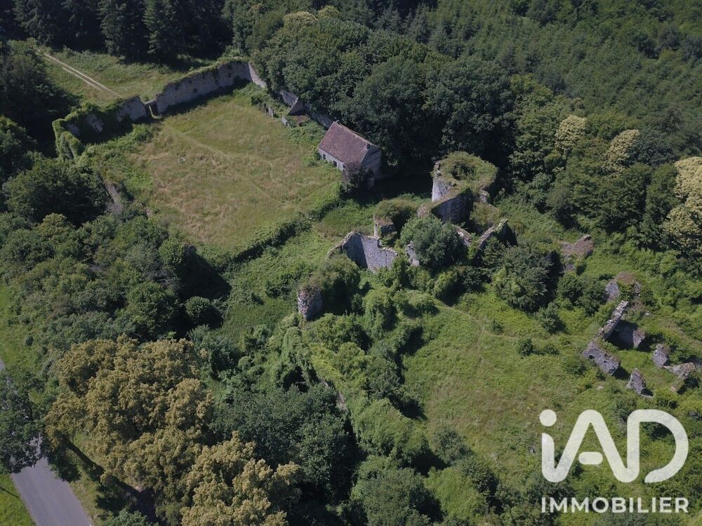 Vente Maison Vente Château 1 pièce Louan villegruis montaiguillon