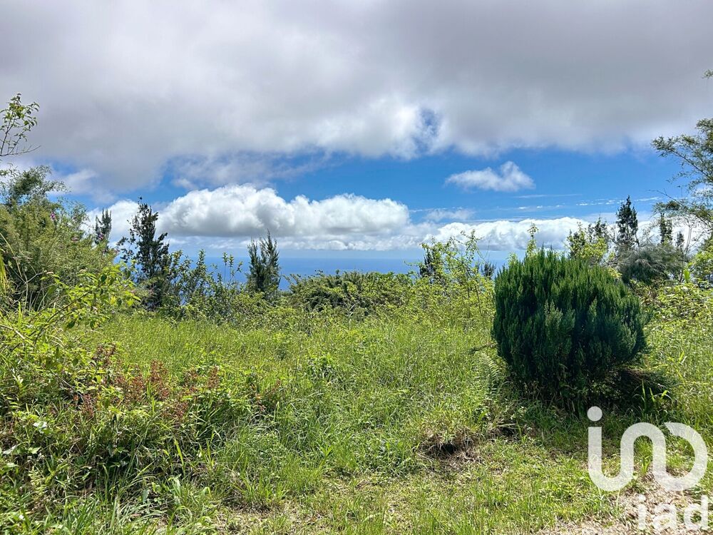 Vente Terrain Vente Terrain 7 500 m&sup2; Saint-denis